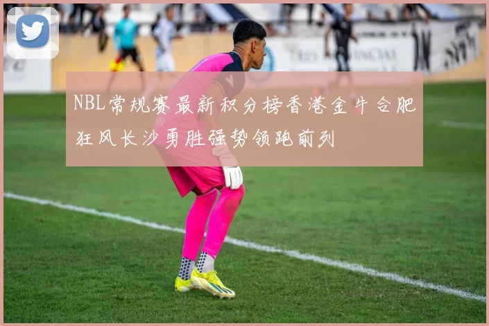 NBL常规赛最新积分榜香港金牛合肥狂风长沙勇胜强势领跑前列